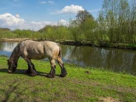 Eibergen in the netherlands photo