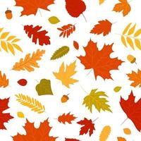 Seamless pattern autumn leaves of a maple, oak, birch tree. Fall yellow, orange, red leaf texture on the white background. Foliage backdrop design for autumn sale, template for banner or textile. vector