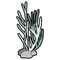 Under Sea Plants vector