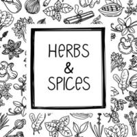 Herbs and spices, hand-drawn vector illustrations. Hand-drawn sketch of plants. Aromatic ingredients. Package design on white background. Sketch style. Silhouette design of spices and herbs