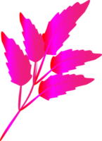 lindo rosa colorido folhas naturais arte design gráfico gradiente ícone elemento abstrato png