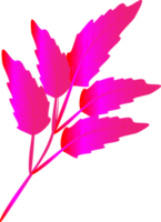 Beautiful pink colorful natural leaves art graphic design gradient icon element abstract background png