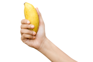 Person holding a banana in the hand png