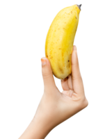 Person holding a banana in the hand png