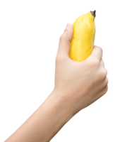 Person holding a banana in the hand png