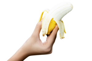 female hand holding steadily a banana isolated on white, png