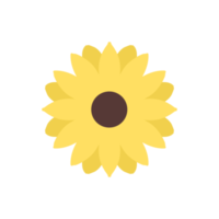 Sonnenblumen-ClipArt png