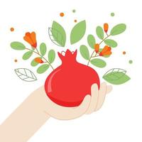 Ripe pomegranate fruit in hand. Flowering branches of a fruit tree. Vector image on a white background. Suitable for posters, labels, stickers