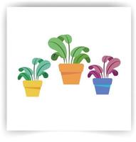 Indoor plants in pot vector cartoon set isolated on a white background