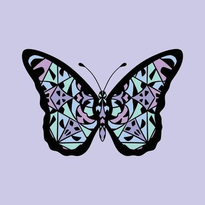 butterfly mandala art abstract colorful unique style pattern premium vector