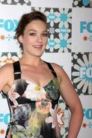 LOS ANGELES, JUL 20 - Virginia Kull at the FOX TCA July 2014 Party at the Soho House on July 20, 2014 in West Hollywood, CA photo