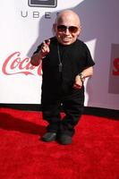 LOS ANGELES, FEB 17 - Verne Troyer arrives at the 2013 Streamy Awards at the Hollywood Palladium on February 17, 2013 in Los Angeles, CA photo