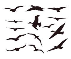 Silhouette birds icon set vector template