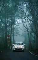 car driving in dark and foggy forest road photo