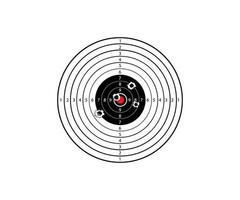 Target Shooting with bullet hole, Vector