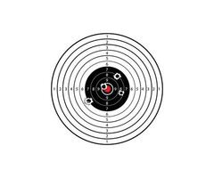 Target Shooting with bullet hole, Vector