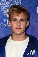 Los Ángeles, 16 de agosto - Jake Paul en el evento Variety Power of Young Hollywood en el Neuehouse el 16 de agosto de 2016 en Los Ángeles, CA foto