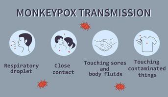 Iconos infográficos de transmisión del virus de la viruela del mono. se notifican nuevos casos de virus de la viruela del simio en europa y estados unidos. vector