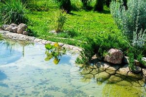 Small pond in the garden as landscaping design element. photo