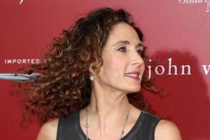 las vegas, 17 de abril - melina kanakaredes en el 13º beneficio anual de stuart house de john varvatos en la tienda de john varvatos el 17 de abril de 2016 en west hollywood, ca foto