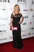 LOS ANGELES, NOV 3 - Taylor Armstrong at the Vanderpump Dogs Foundation Gala at Taglyan Cultural Complex on November 3, 2016 in Los Angeles, CA photo