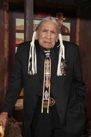 LOS ANGELES, NOV 30 - Saginaw Grant at the The Ridiculous 6 Los Angeles Premiere at the AMC Universal City Walk on November 30, 2015 in Los Angeles, CA photo