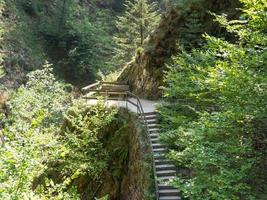 the black forest in germany photo