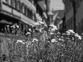 the lake constance in germany photo