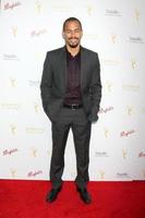 LOS ANGELES, AUG 26 - Bryton James at the Television Academy s Daytime Programming Peer Group Reception at the Montage Hotel on August 26, 2015 in Beverly Hills, CA photo