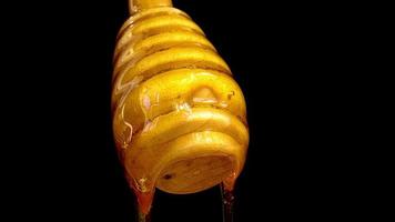 honig gießen aus honigschöpflöffel. Dieser Clip zeigt Honig, der auf einen hölzernen Honigschöpflöffel tropft. video