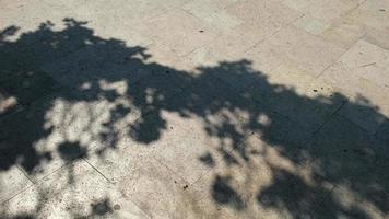 Sombras abstractas en cámara lenta de árboles en el suelo en el exterior video