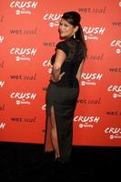 LOS ANGELES, NOV 6 - Nia Peeples at the CRUSH by ABC Family Clothing Line Launch at London Hotel on November 6, 2013 in West Hollywood, CA photo