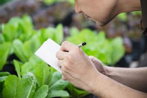 Farm man working in his organic lettuce garden - smart farm people in clean organic agricultural concept photo