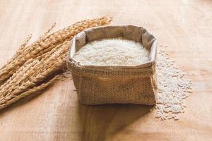Raw rice grain and dry rice plant on wooden table background. photo