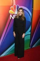 LOS ANGELES, JAN 13 - Bre Blair at the NBCUniversal TCA Press Day Winter 2016 at the Langham Huntington Hotel on January 13, 2016 in Pasadena, CA photo