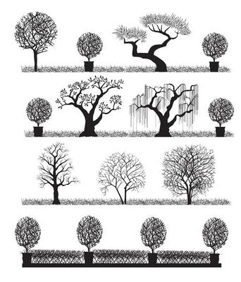Silhouette of trees on a white background
