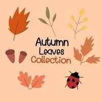 Autumn Leaves collection vector