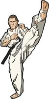 karate kick training