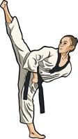 karate girl high kick training