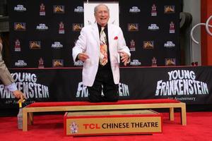 LOS ANGELES, SEP 8 - Mel Brooks at the Mel Brooks Hand and Foot Print Ceremony at TCL Chinese Theater on September 8, 2014 in Los Angeles, CA photo