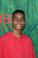 LOS ANGELES, AUG 14 -  Terrell Ransom Jr at the Kubo and the Two Strings Premiere at the AMC Universal Citywalk on August 14, 2016 in Universal City, CA photo