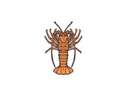 lobster stone drawing angrave  illustration vector