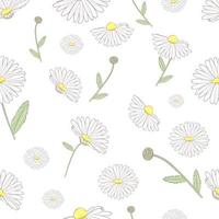 seamless pattern with camomiles vector