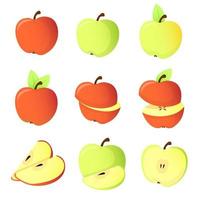 Set of different apples vector