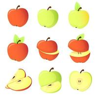 conjunto de diferentes manzanas vector