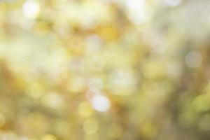 Abstract blurred golden background photo