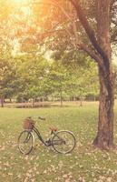 Landscape picture Vintage Bicycle with vintage filter style