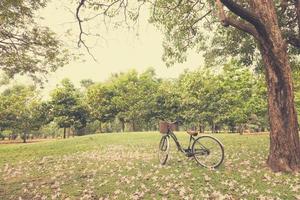 Landscape picture Vintage Bicycle with vintage filter style photo