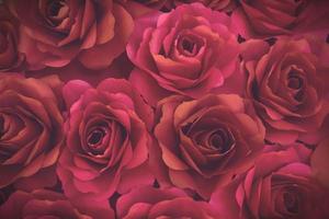 Red rose paper backgrounds with vintage tone photo