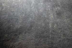 Rhino skin for background and textures photo